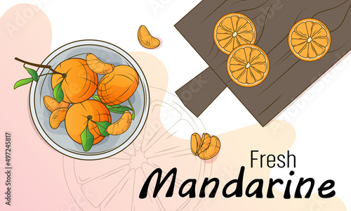 Hand-drawn vector illustration of background with tangerine, cutting board, tangerine slice, plate with mandarins. Background for design of poster, banner, card, website. Cartoon style. © Gulsim