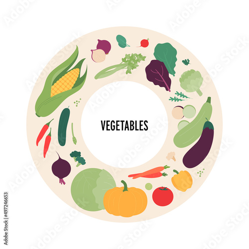 Food illustration. Vector flat design variation of different vegetables symbol in circle frame isolated on white background.