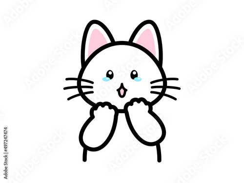 涙を浮かべる悲しそうな猫