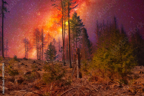 Beautiful shot of a starry sky over the Rennsteig Trail in the Thuringian Forest photo