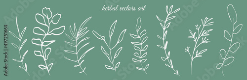 Hand drawn herbal vectors art on a green background. Botanical, chic and trendy plants. Hand drawn lines, elegant leaves for your own design. Flower branch and minimalistic modern plants.