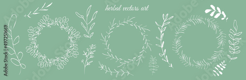 Hand drawn herbal vectors art on a mint background. Botanical, chic and trendy plants. Hand drawn lines, elegant leaves for your own design. Flower branch and minimalistic modern plants.