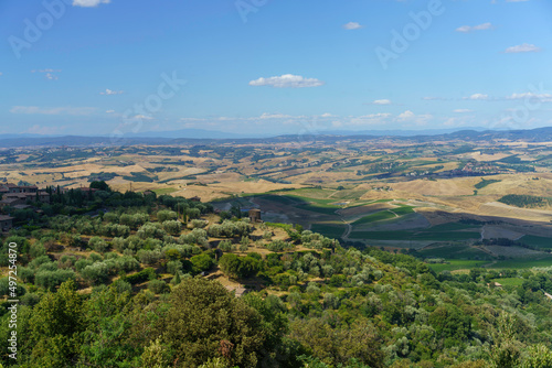 Fototapeta Naklejka Na Ścianę i Meble -  Rural landscape near Montalcino,Siena, Tuscany