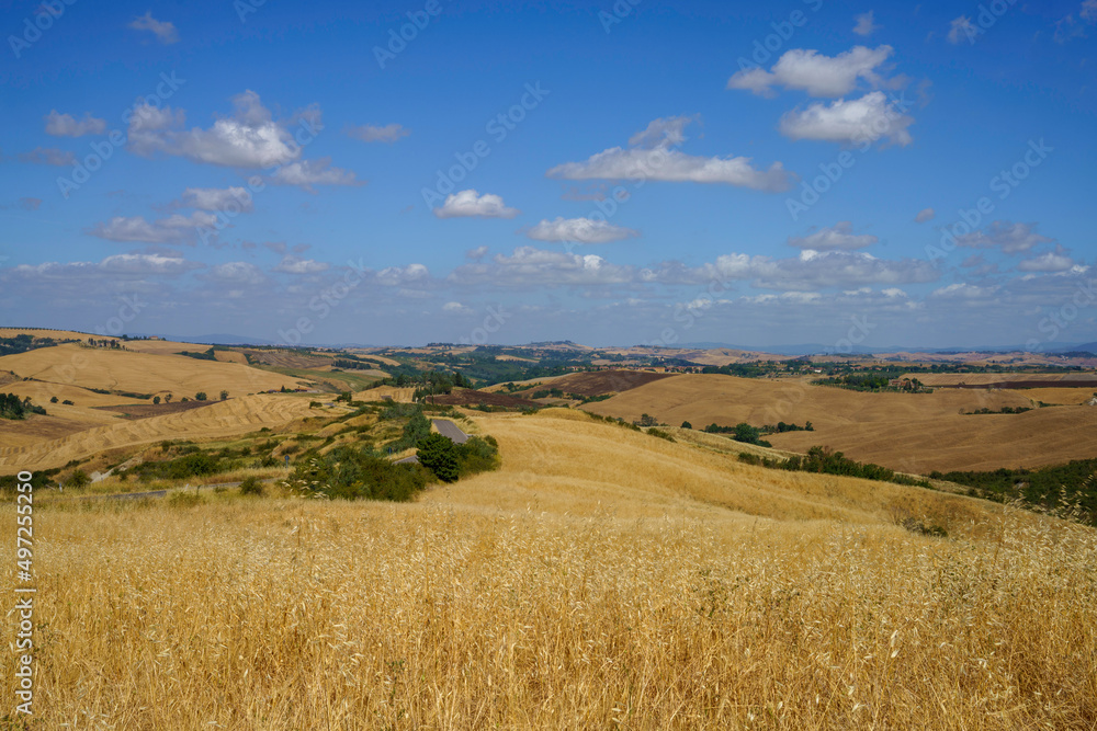 Rural landscape near Asciano, Tuscany, Italy Rural landscape near Asciano, Tuscany, Italy