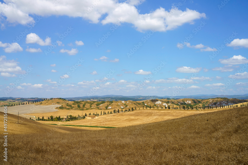 Fototapeta premium Rural landscape in Val d Orcia, Tuscany, Italy