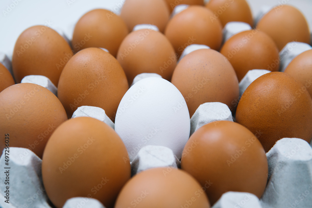 Fresh brown chicken eggs and alone white egg. Side view natural organic egg. Healthy real food Fresh brown chicken eggs and alone white egg. Side view natural organic egg. Healthy real food
