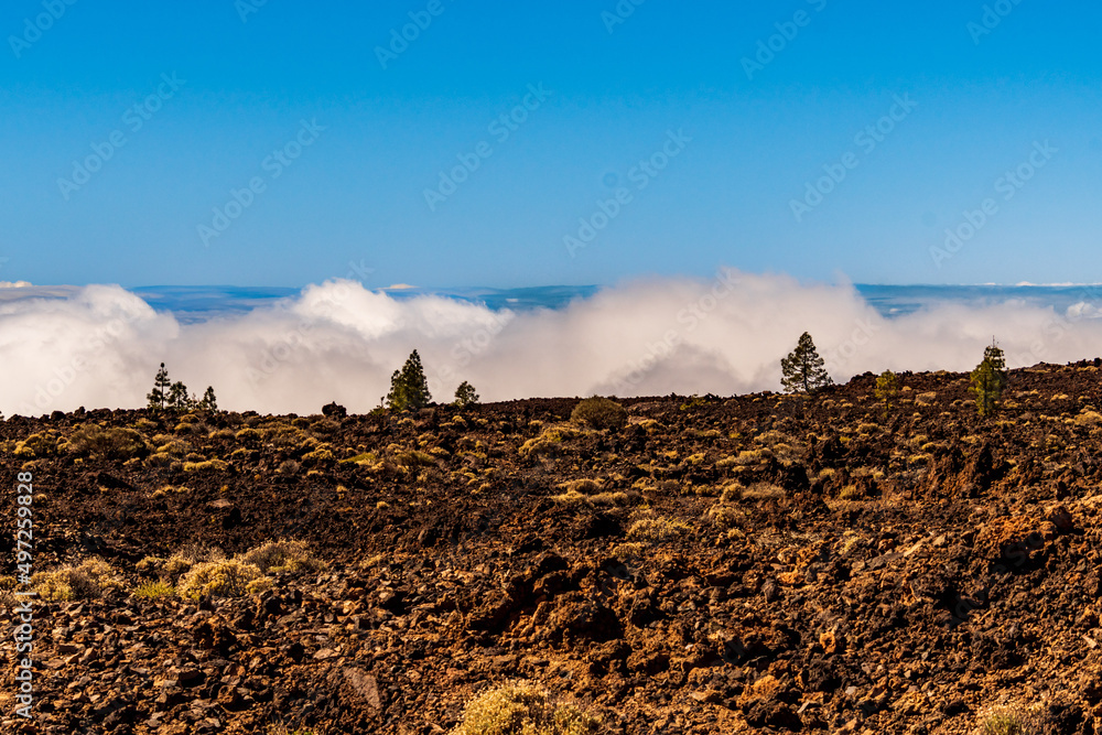 Obraz premium Paisaje con árboles y nubes en el Parque Nacional del Teide, isla de Tenerife