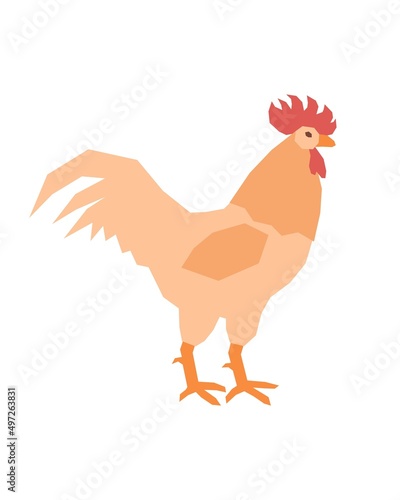 A rooster, a bird standing sideways, a profile image of a village pet. Vector illustration in flat style.