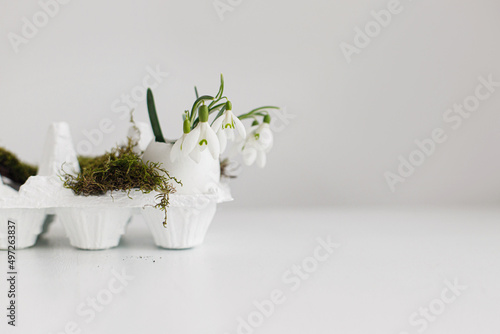 Wallpaper Mural Easter rustic still life. Easter egg shells with blooming snowdrops and moss on aged white wooden table. Happy Easter! Simple stylish festive decoration on table. Space for text Torontodigital.ca