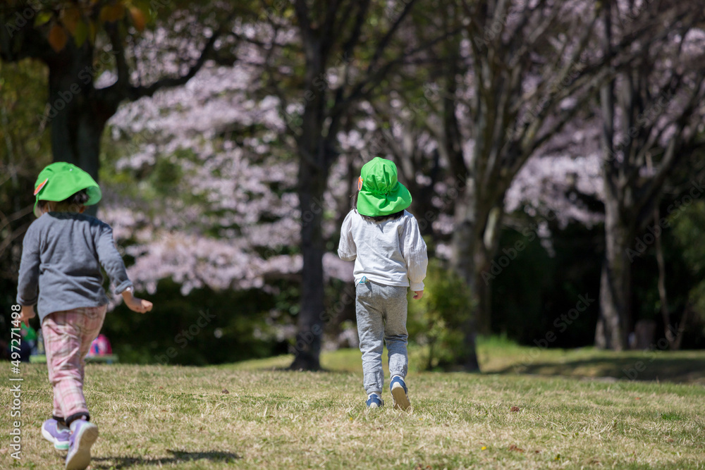 春の公園で遊んでいる保育園の子供達の姿と満開の桜の風景 春の公園で遊んでいる保育園の子供達の姿と満開の桜の風景