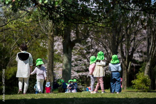 桜満開の公園で遊んでいる保育園の子供達と先生の姿
