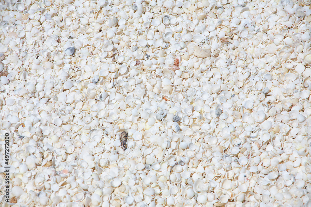 Muschelstrand Australien Muschelstrand Australien