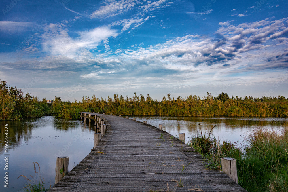 Naklejka premium Beautiful pathway through the water in the nature on a blue sky day