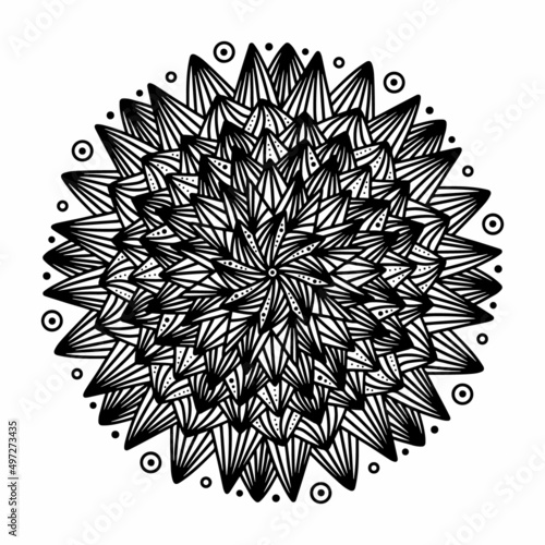 Floral, hand drawn aster mandala flowers in doodle style isolated on white background. Funny and cute coloring for seasonal design, textile, decoration kids playroom or greeting card. Chrysanthemum.