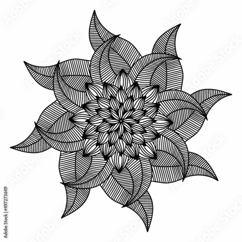 Floral, hand drawn aster mandala flowers in doodle style isolated on white background. Elegant coloring page for seasonal design, decoration kids playroom or greeting card. Chrysanthemum, Lotus.