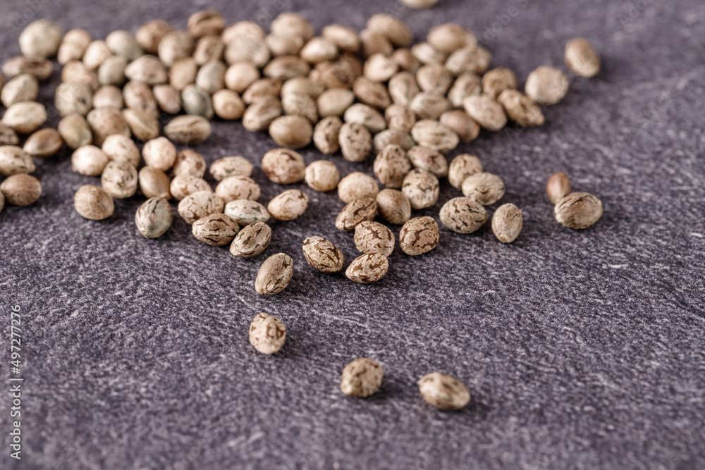 Cannabis seeds of medical hemp plant on dark stone board. Cannabis seeds of medical hemp plant on dark stone board.