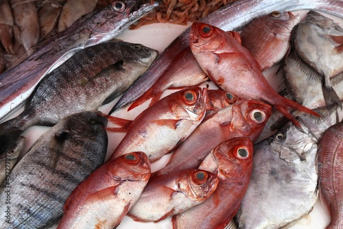 Fish market in Essaouira, Morocco