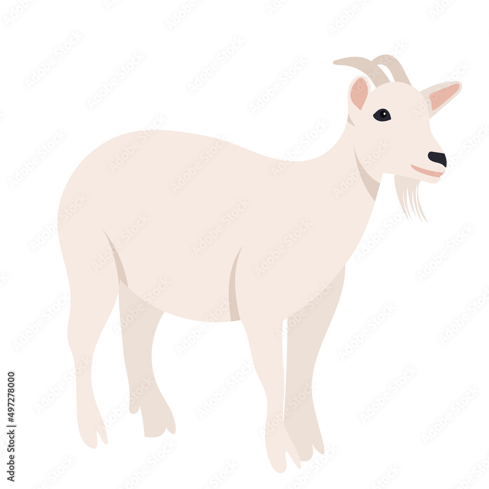 Obraz premium goat flat design, isolated, vector
