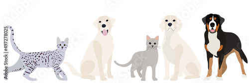 cats and dogs flat design  isolated  vector