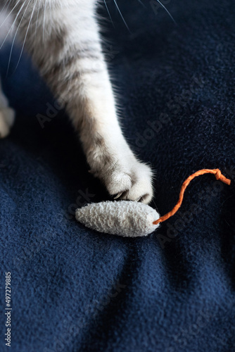 A paw with a cat's fingernail holding a toy mouse on the couch
