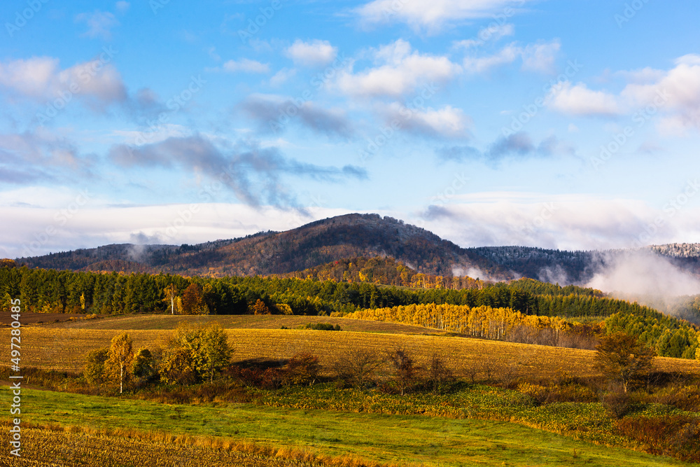 Obraz premium 10月の北海道美瑛、紅葉と朝靄・日本