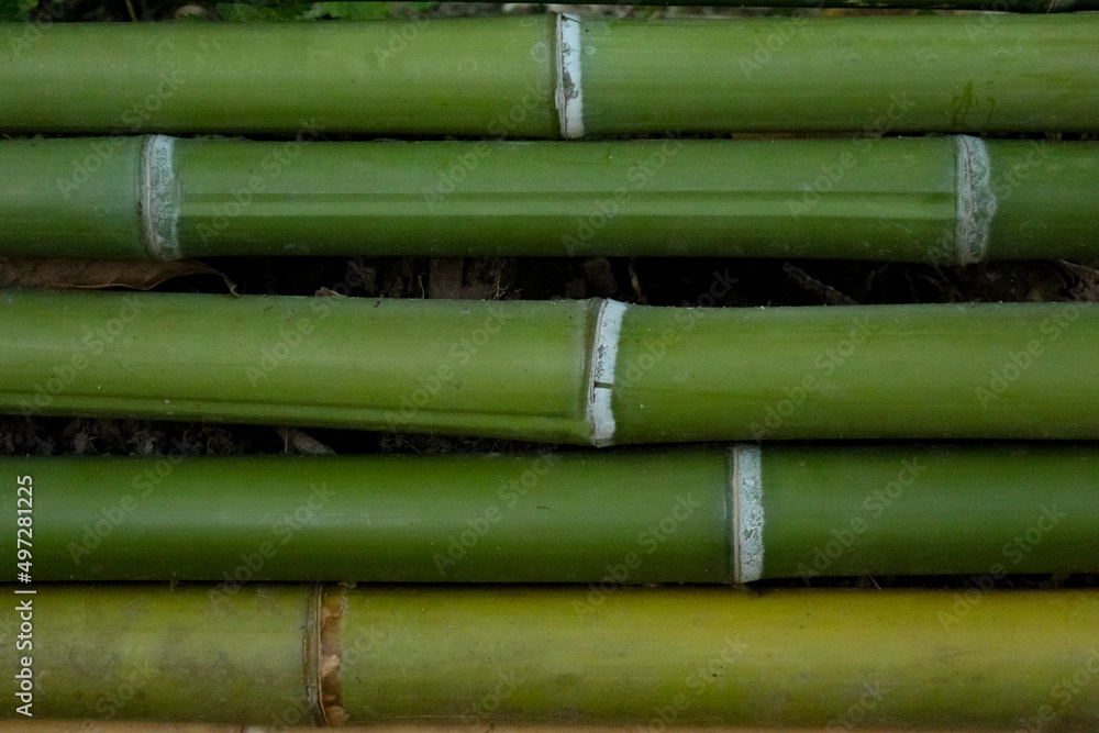 close up of bamboo sticks close up of bamboo sticks