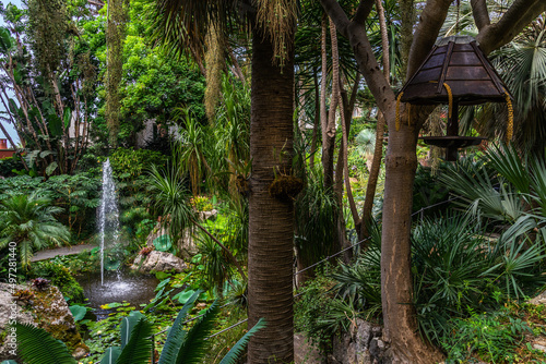 Beautiful view of La Mortella, a subtropical and Mediterranean garden at Forio d'Ischia, Italy photo