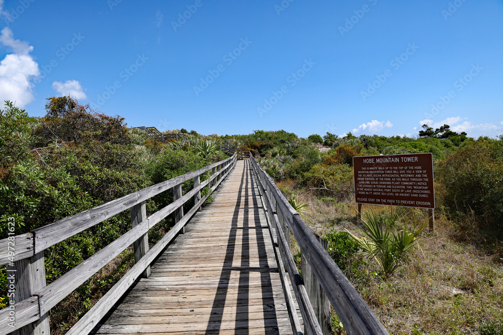 The Hobe Mountain observation tower at Jonathon Dickinson State Park in South Florida. The Hobe Mountain observation tower at Jonathon Dickinson State Park in South Florida.