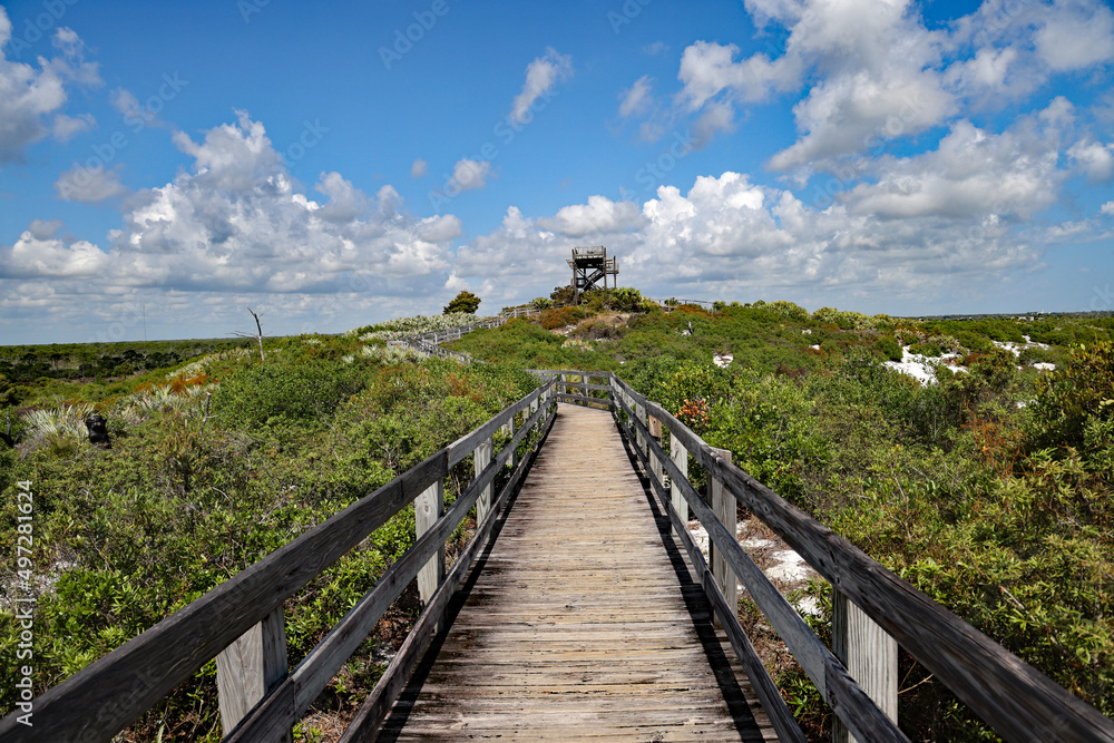 The Hobe Mountain observation tower at Jonathon Dickinson State Park in South Florida.