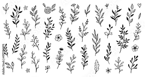 Leaf branch wreath rustic set. Hand drawn sketch doodle style leaf. Flourish branch, laurel flower for border, divider design element. Vector illustration.