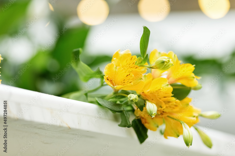 Yellow flowers. Spring. Blurred background. Freshness