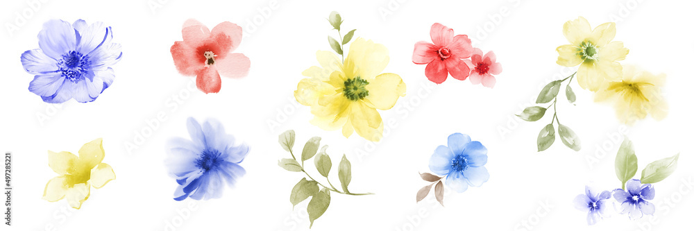 Fototapeta premium Computer drawn flower illustration. Watercolor Flowers.Manual composition.Big Set watercolor elements.