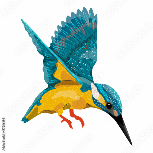 The kingfisher flies down. Wild birds of Eurasia and North America. Realistic vector bird photo