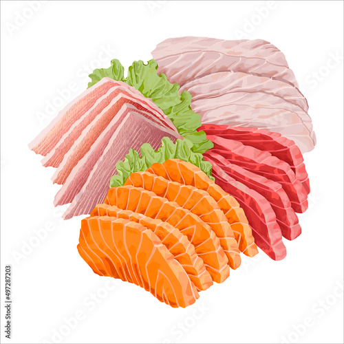 Assorted sashimi set: salmon, tuna, sea bass, marlin. Isolated vector illustration.