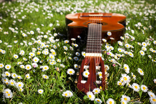 Wall Mural Acoustic Guitar in a field of daisies