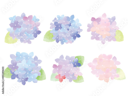 水彩で描いた紫陽花のイラスト