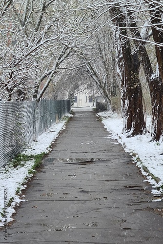 path in winter © ukasz