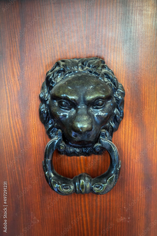 Lion head knocker on wooden door Lion head knocker on wooden door