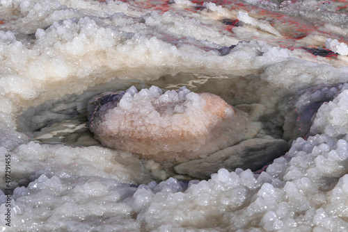 Round salt crystals of the Dead Sea closeup in the rays of the sun. Israel photo