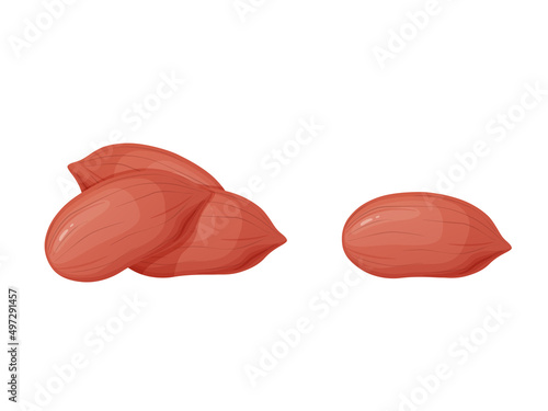 Peanut. Nuts in shell and peeled in cartoon style. Healthy vegetarian snack.