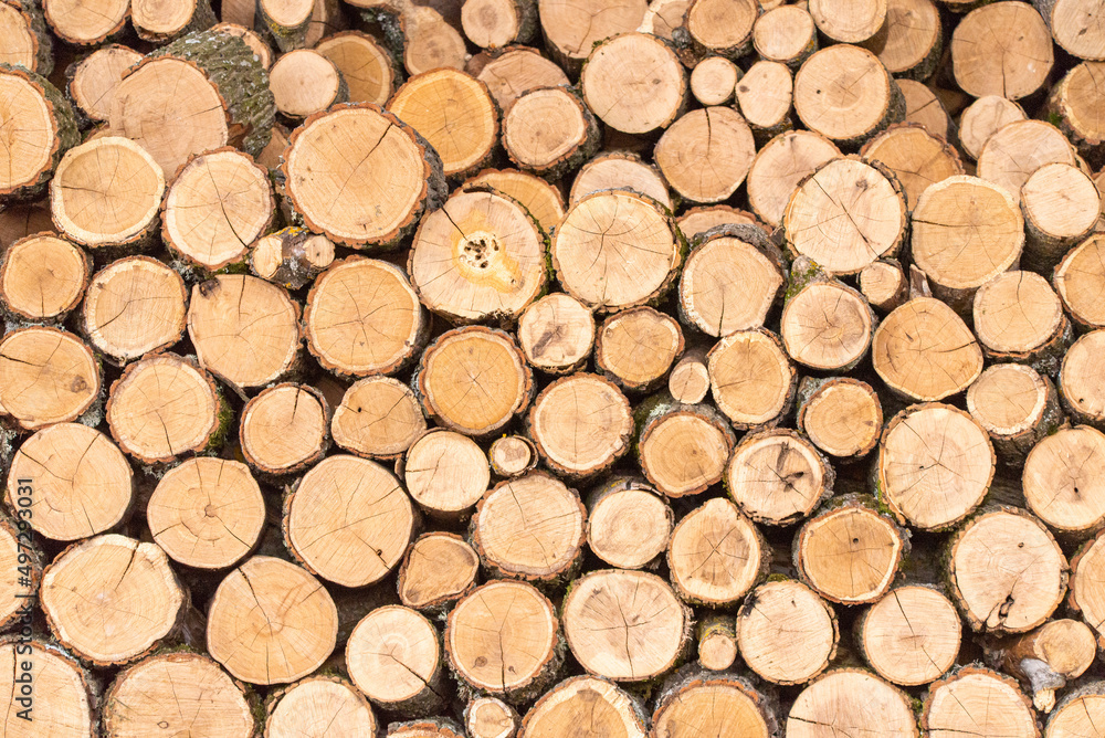Wood pile reserve for the winter. Pile of chopped firewood. Background texture wood. Wood chips Wood pile reserve for the winter. Pile of chopped firewood. Background texture wood. Wood chips