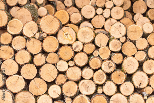 Wood pile reserve for the winter. Pile of chopped firewood. Background texture wood. Wood chips