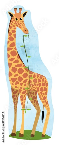Meter wall giraffe with liana in mouth. Universal scale to fill in. Cute poster for children with funny animal. Vector illustration isolated on white.