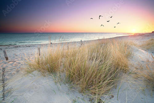 Fototapeta Naklejka Na Ścianę i Meble -  calm morning at the beach, sunrise