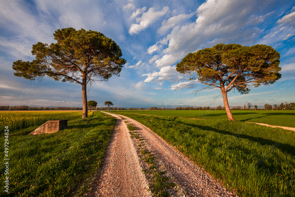 Road to Rome - Grado Flatland