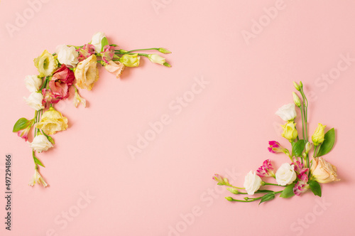spring beautiful flowers on pink background © Maya Kruchancova