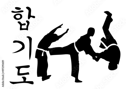 hapkido