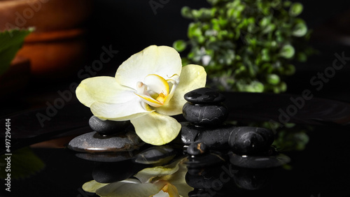 Photography Spa stones with flower in water and green plant on black
