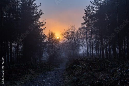 Early morning