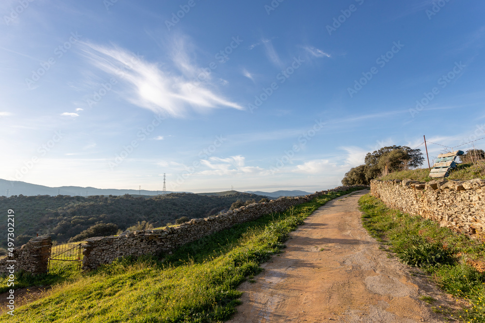 Landscape of extremadura grassland with the Tajo river